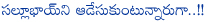 salman khan,bollywood heroines,salman khan affairs,bollywood hero salman khan,house gift,jaquiline fernandz,kick movie